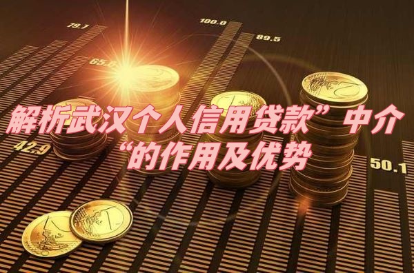 解析武汉个人信用贷款”中介“的作用及优势