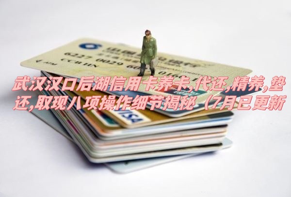 武汉汉口后湖信用卡养卡,代还,精养,垫还,取现八项操作细节揭秘（7月已更新）